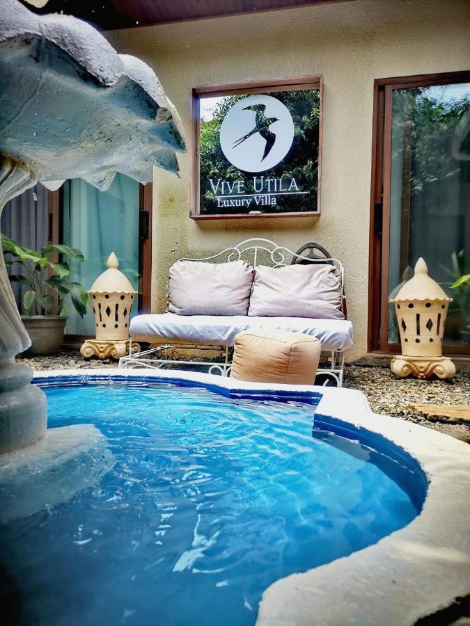 Vive Utila - Bed & Breakfast Ngoại thất bức ảnh