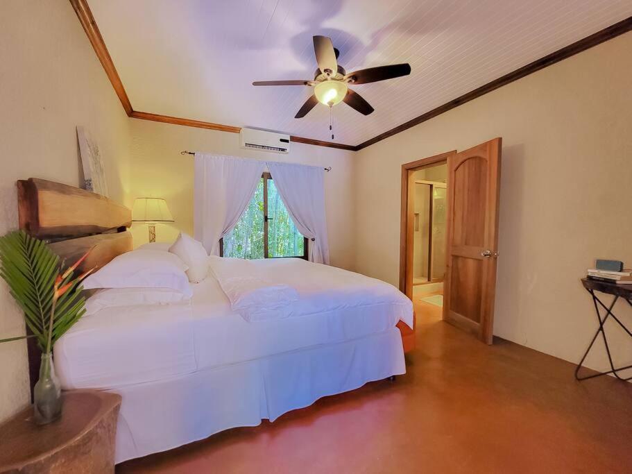 Vive Utila - Bed & Breakfast Ngoại thất bức ảnh