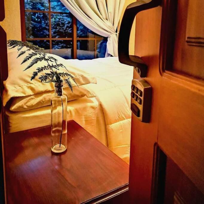 Vive Utila - Bed & Breakfast Ngoại thất bức ảnh