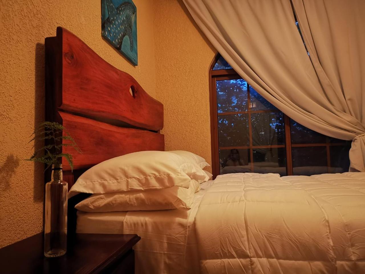 Vive Utila - Bed & Breakfast Phòng bức ảnh